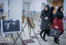 گزارش تصویری | نمایشگاه عکس های برگزیده جشنواره بین المللی عکس خیام 